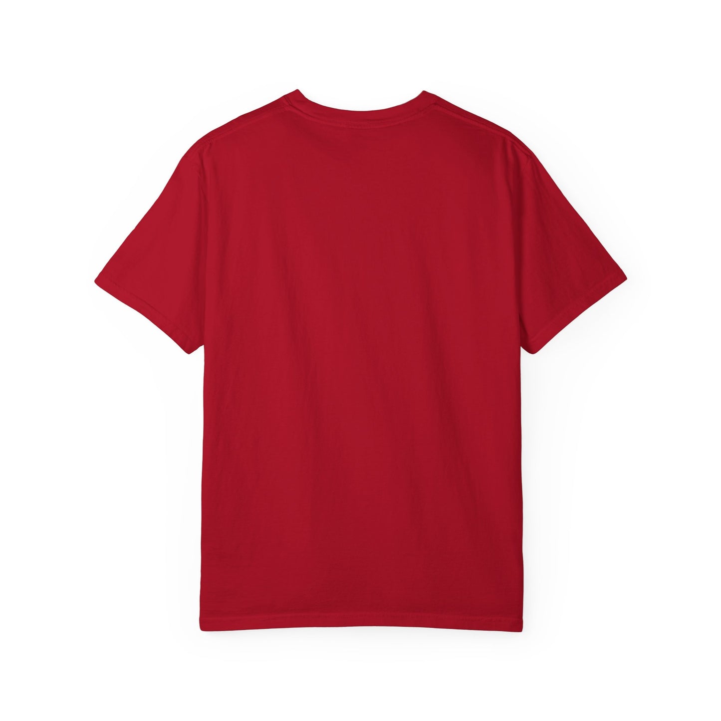 Traps to Labs T-Shirt — 'Traps to Labs' Graphic Tee